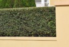 Muttaburrahard-landscaping-surfaces-8.jpg; ?>